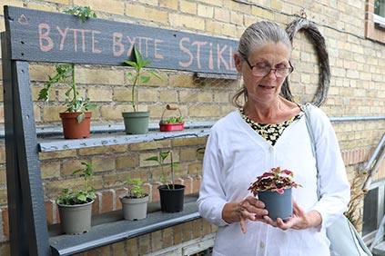 Efter-billede af bytte bytte stiklinger
