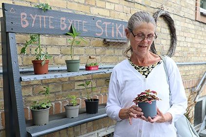 Efter-billede af bytte bytte stiklinger